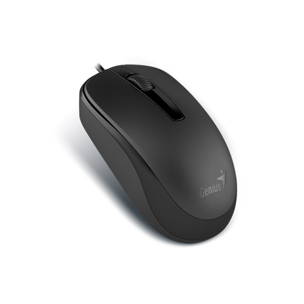 Mouse Genius Dx-120 Usb Black (0975)