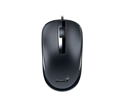 Mouse Genius Dx-120,Usb-C,Black