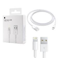 Cable Apple Lightning A Usb A 2M